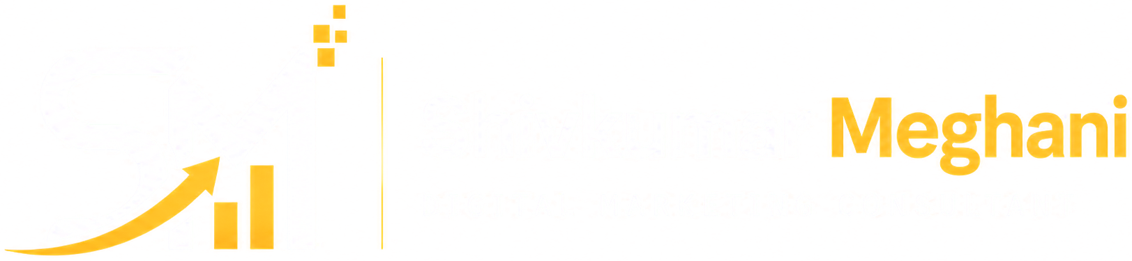 Shivkumar Meghani — Digital Marketing Consultant